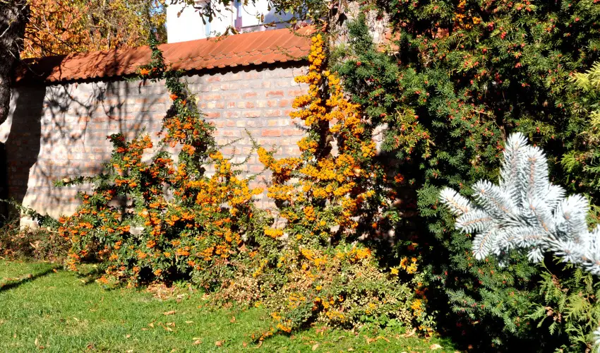 Ametiszt Hotel Harkny