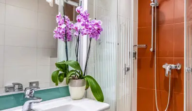 Drva Hotel Thermal Resort Harkny