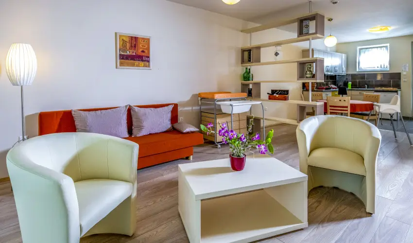 Drva Hotel Thermal Resort Harkny