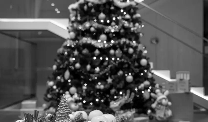 Fibula Residence Hotel & Wellness Pcs