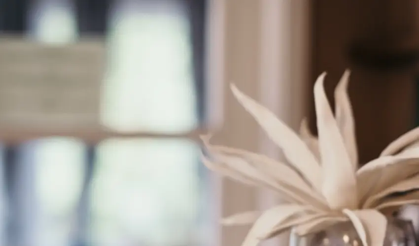 Hotel Arbortum Harkny