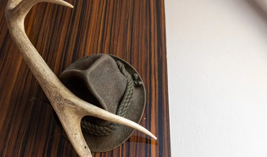 Kastello Vend�gh�z Nagykoz�r