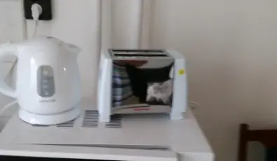 Paprika Vend�gh�z Hark�ny