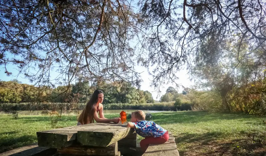 Sasrti Vadszkastly Almamellk