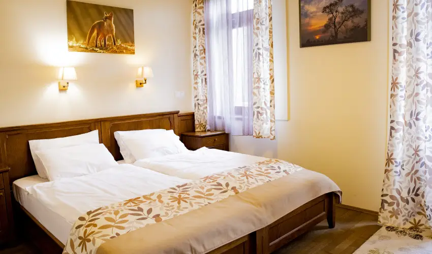 Sasrti Vadszkastly Almamellk