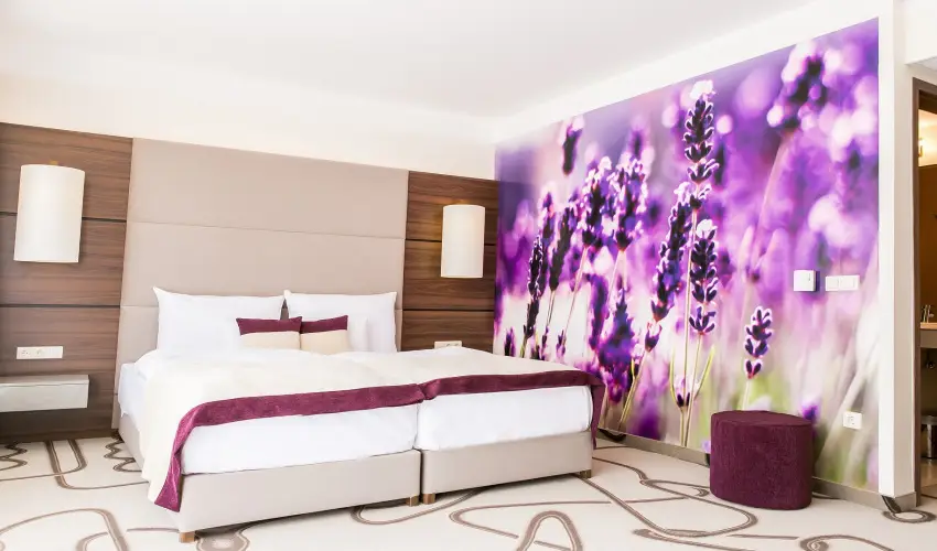 Ambient Hotel & ThermalSPA**** Sikonda