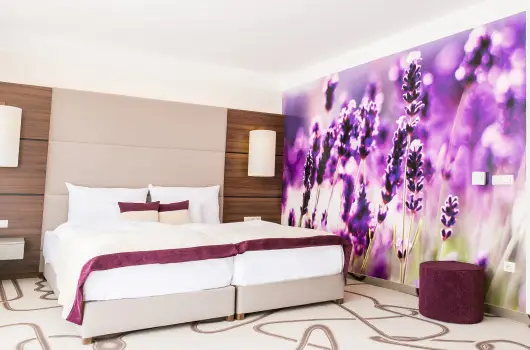 Ambient Hotel & ThermalSPA****, Sikonda, P�cs - 9 km