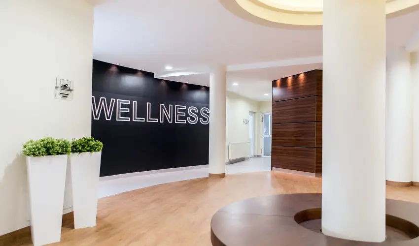 Ambient Hotel & ThermalSPA**** Sikonda