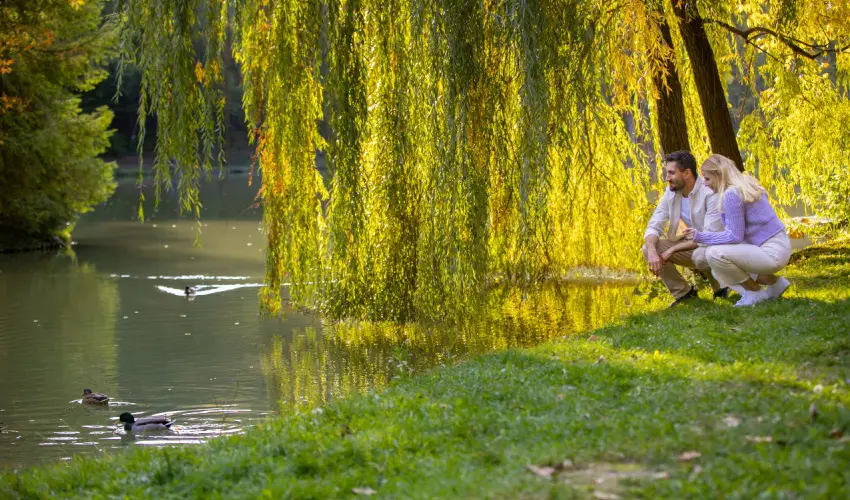 Ambient Hotel & ThermalSPA**** Sikonda