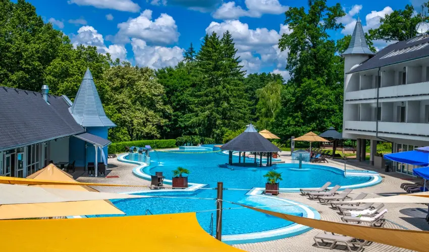 Ambient Hotel & ThermalSPA**** Sikonda