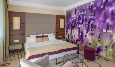 Ambient Hotel & ThermalSPA**** Sikonda