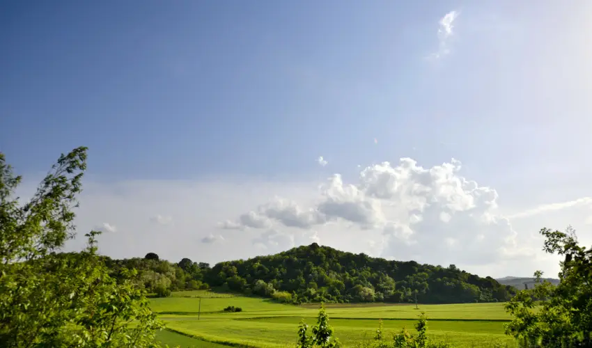 Tkert Fogad Nagymnyok