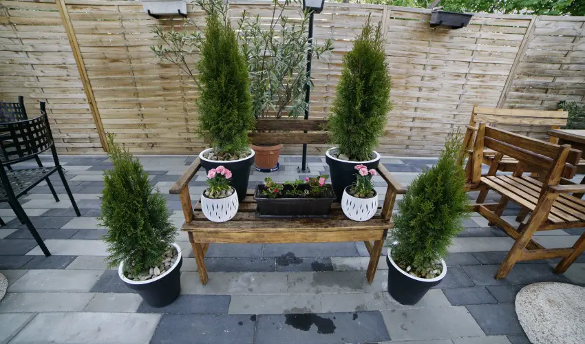 Tkert Fogad Nagymnyok