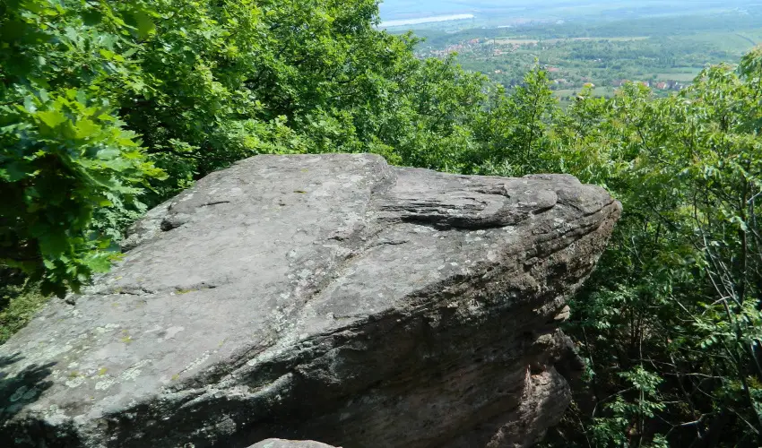 Tkert Fogad Nagymnyok