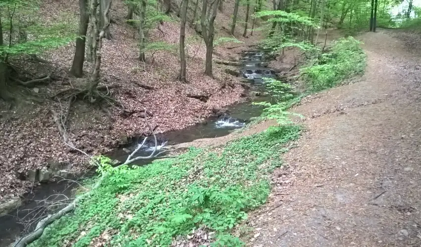 Tkert Fogad Nagymnyok