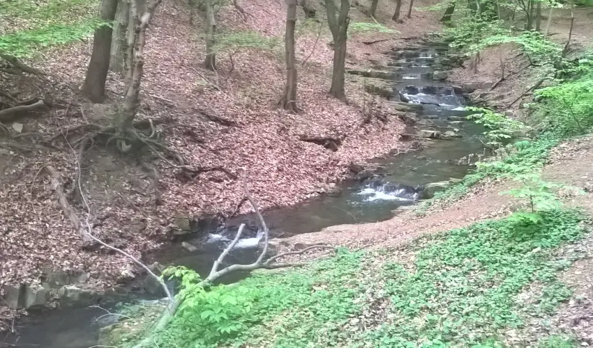 Tkert Fogad Nagymnyok