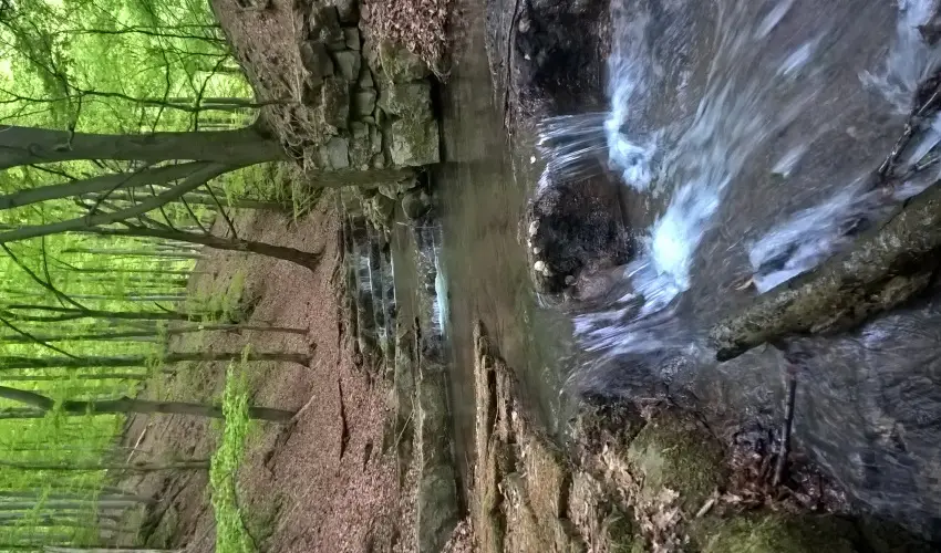 Tkert Fogad Nagymnyok